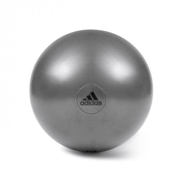 Gymball, Grey 55 cm...