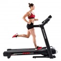 2.75hp 530i Treadmill