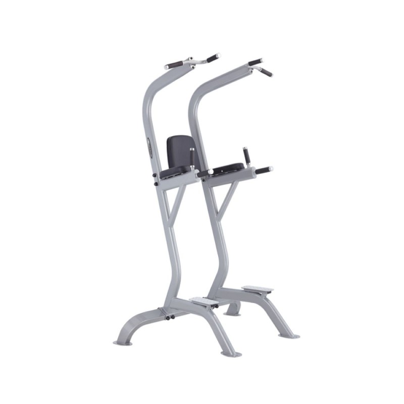 Vertical knee raise machine for 2025 sale