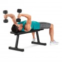 Proform Flat Weight-Lifting Bench