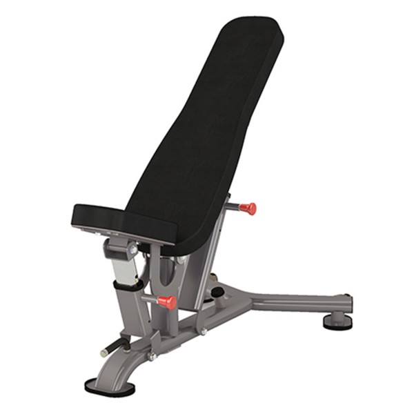 Multi-Adjustable Bench