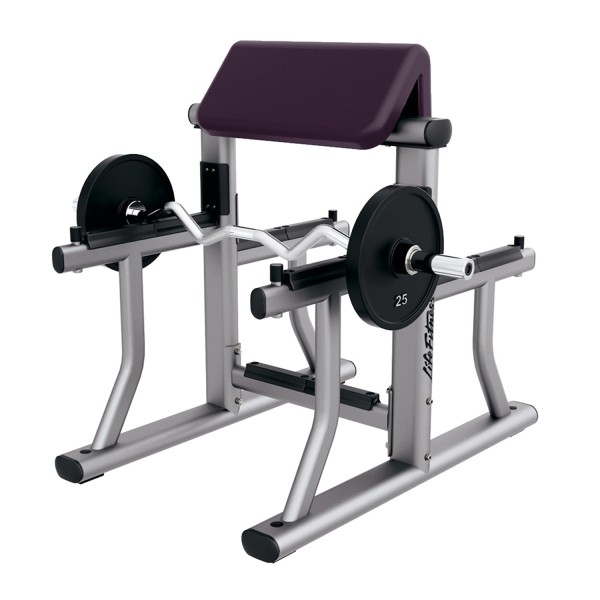 Signature Arm Curl Bench, Platinum - Cranberry