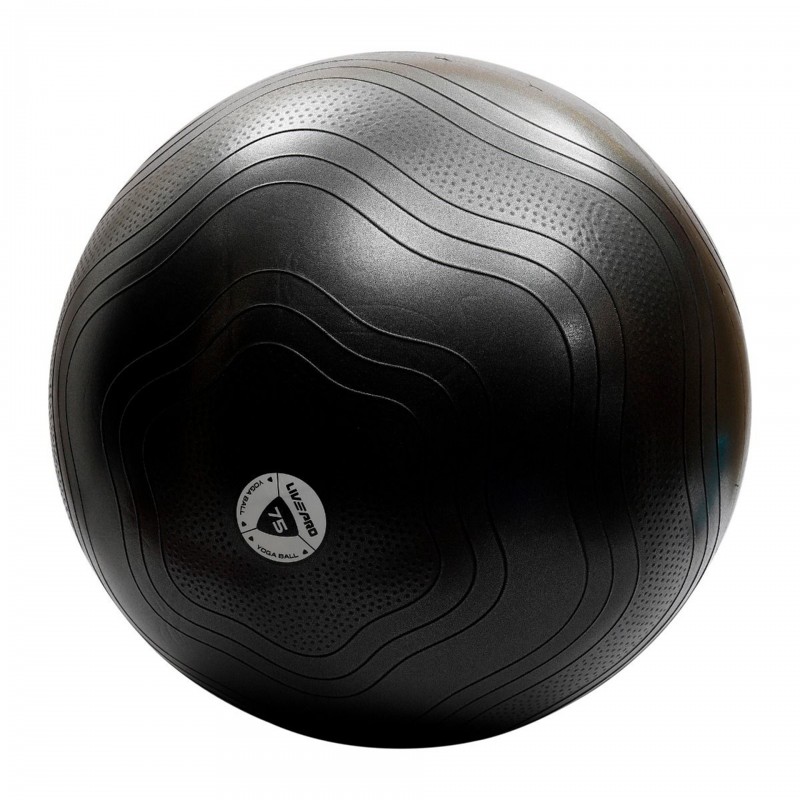 Buy Livepro Anti-Burst Core-Fit Exercise Ball Online at Best Price in UAE.