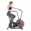 Airdyne AD2i Cycling Bike