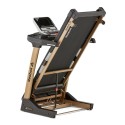 Jet 300+ Series Treadmill + Bluetooth