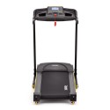 GT30 One Series Treadmill